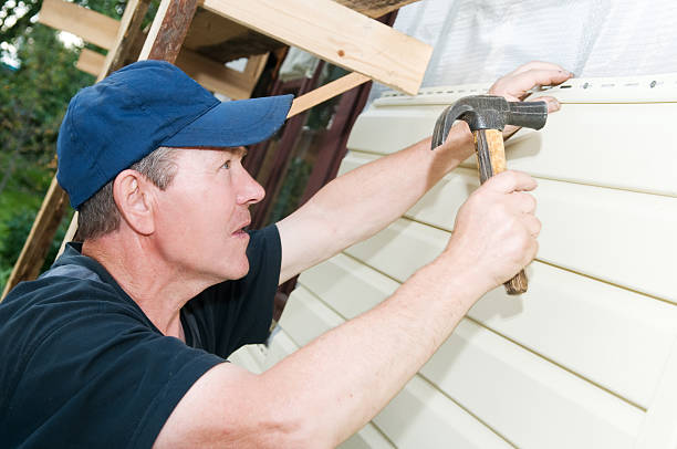 Best Aluminum Siding Installation  in Big Le, AK