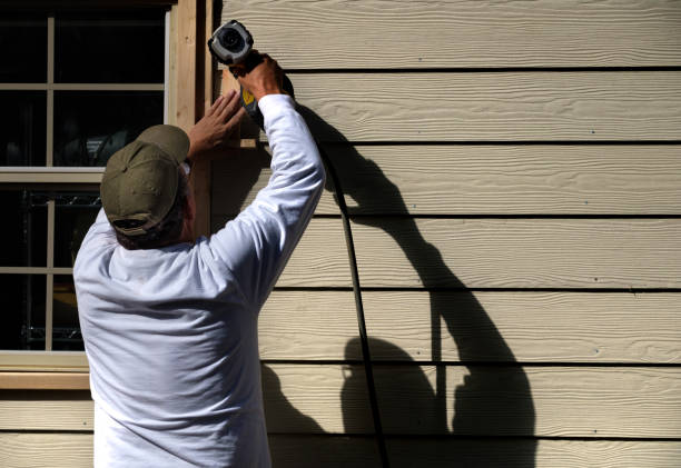 Best Stone Veneer Siding  in Big Le, AK