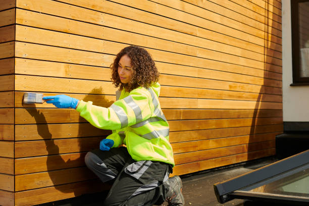 Best Historical Building Siding Restoration  in Big Le, AK
